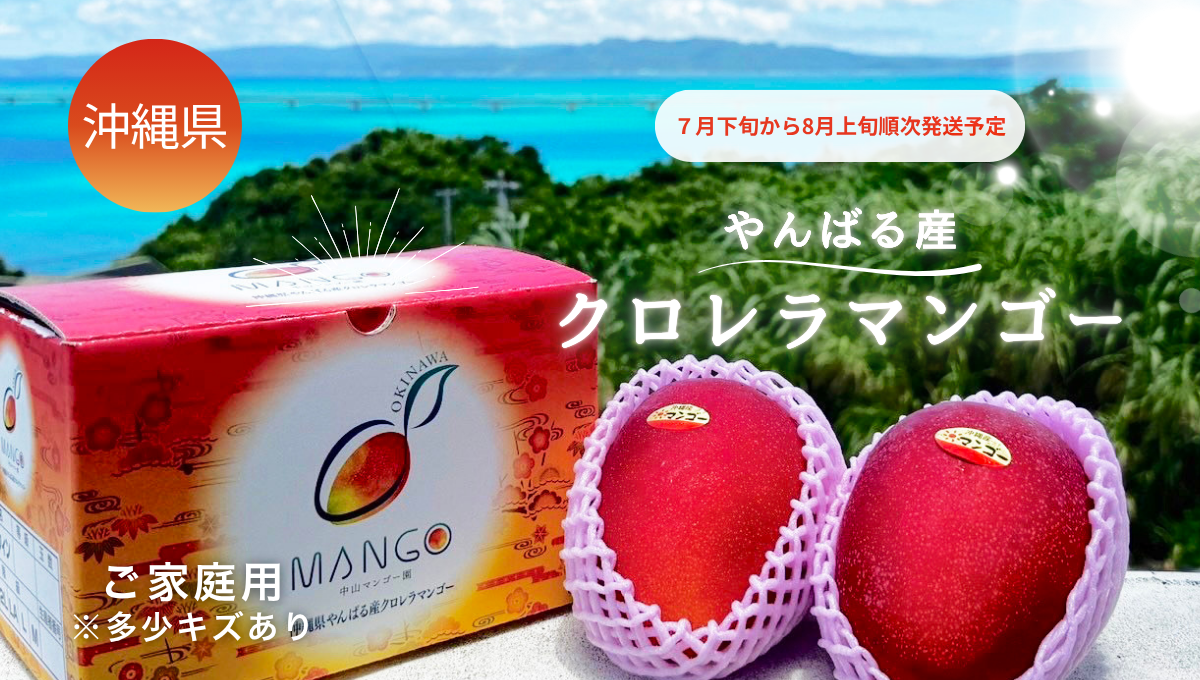 【ラブストック限定・超お得価格】 沖縄県産クロレラマンゴー販売！