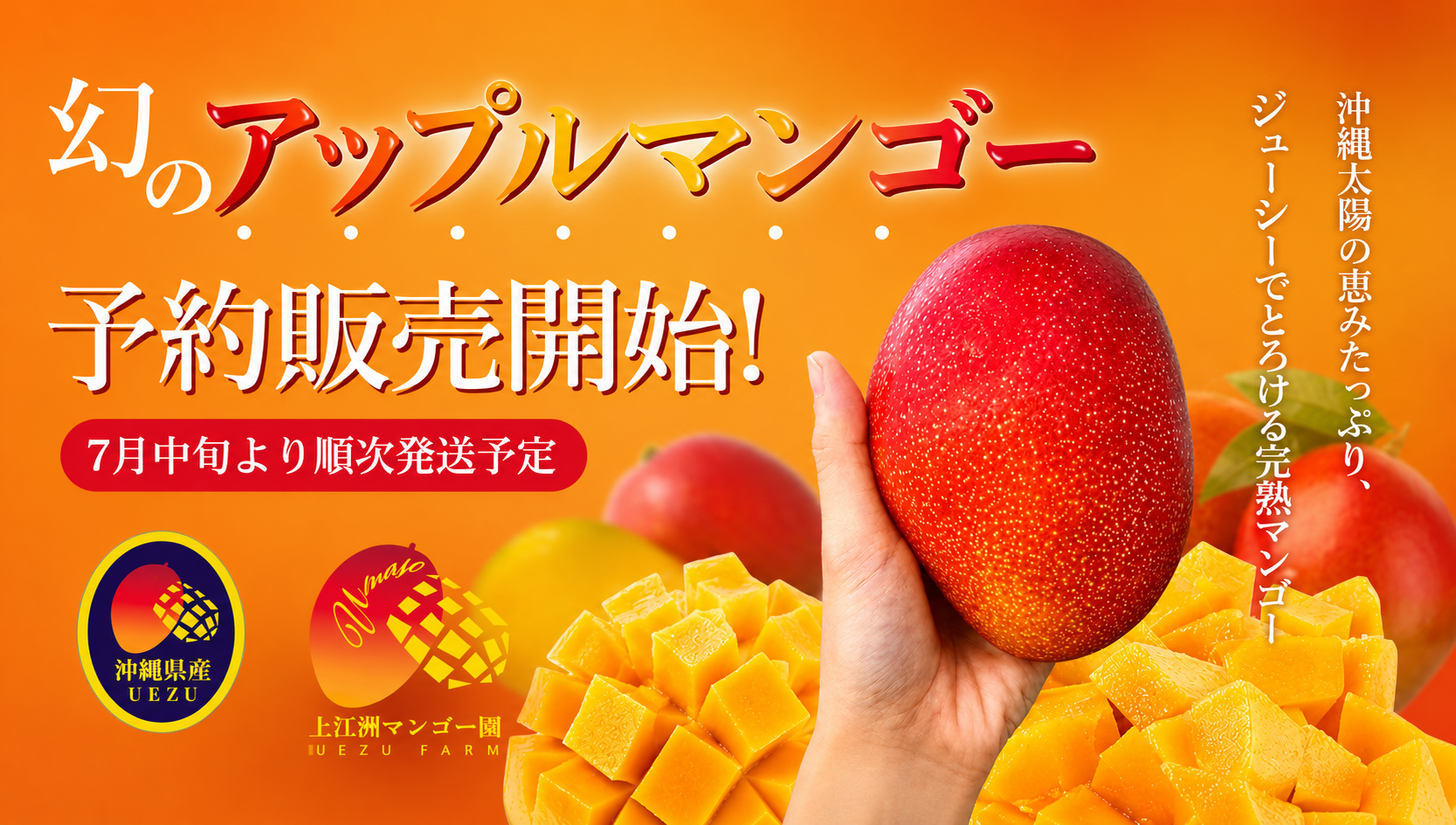【予約販売・7月中旬より順次発送】沖縄県産贅沢マンゴー